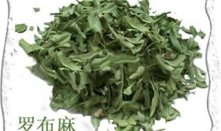 新疆罗布麻茶 新疆罗布麻茶