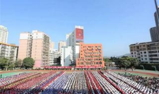 学校的故事 学校的故事